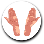 Skin Disorders logo